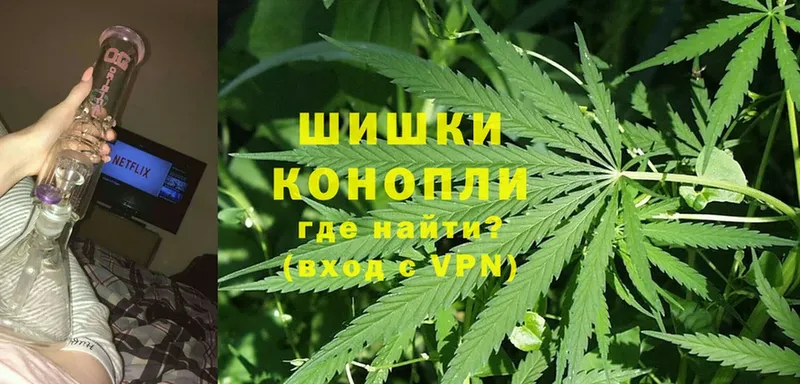 Каннабис OG Kush  Бавлы 